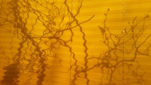 Schatten von Zweigen auf gelber Jalousie, geknickt durch Falten in ihr
